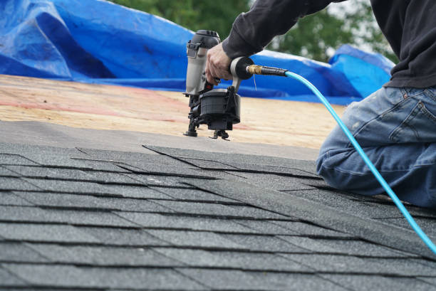 Best Roof Gutter Cleaning  in Tysons, VA